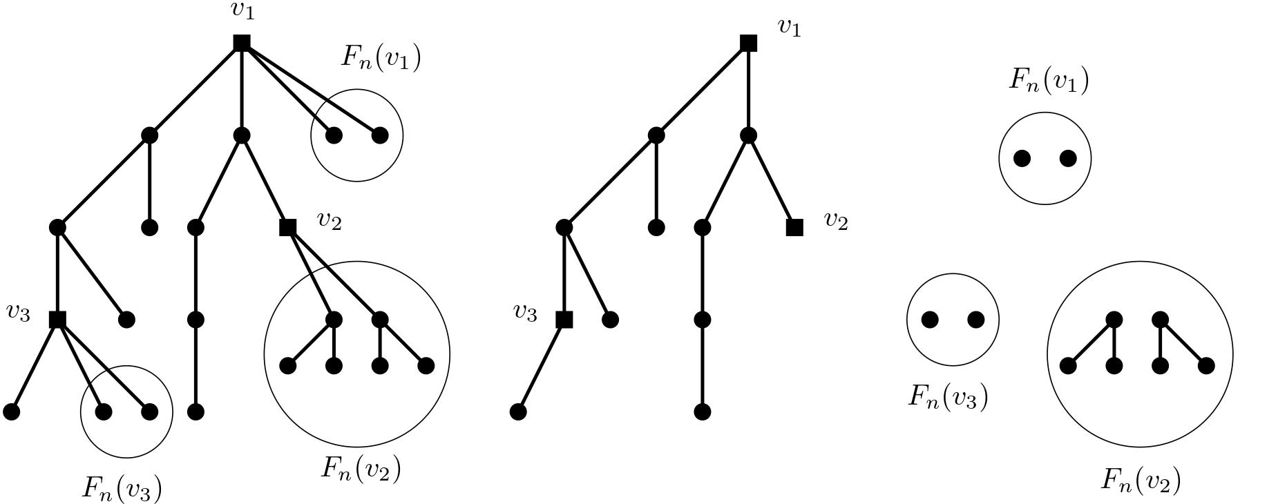 Illustration for On the shape of random Pólya structures